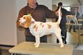 Afb_20130120_Nala (9)